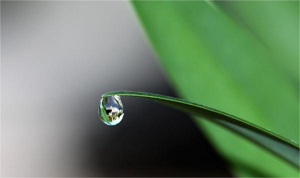 水質檢測和監測是如何實施的呢？